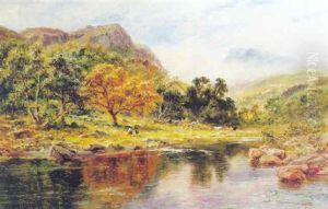 In The Lledr Valley