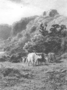 Highland Cattle by Robert Gallon