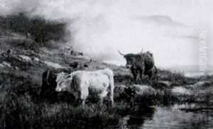 Highland Cattle Watering by Robert Gallon