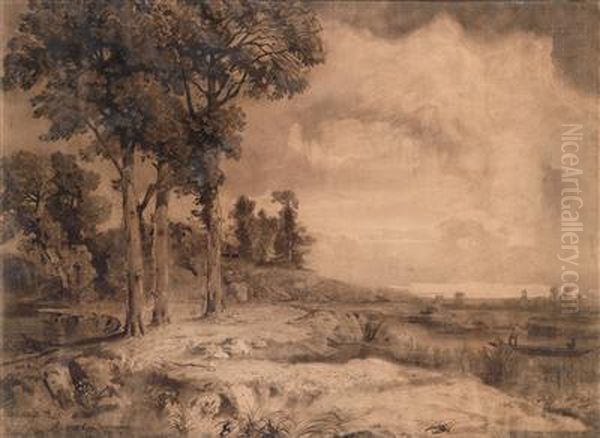 Teichlandschaft - view 1