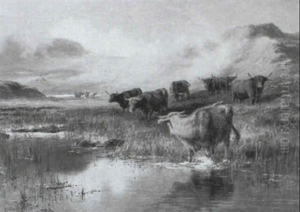 Cattle In The Highlands - view 1
