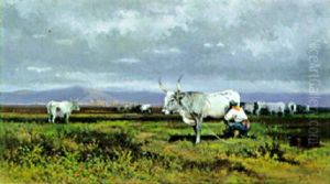 Mungitura Nella Campagna Romana Mungitura Nella Campagna Romana