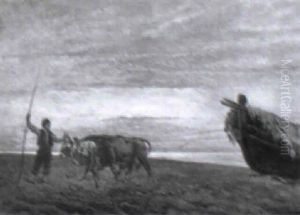 Oxen Pulling The Boat