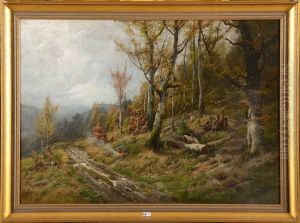 Chemin En Foret Chemin En Foret