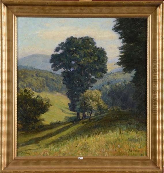 Paysage Vallonne - view 1