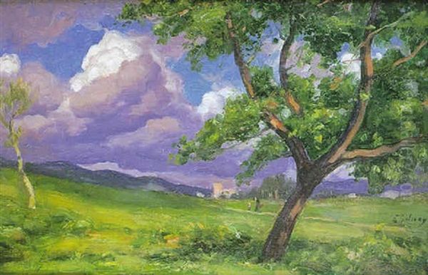 Paisaje - view 1