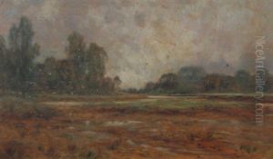 Suffolk Salt Marshes