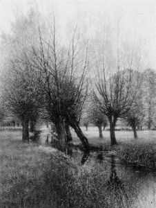 Spring Days by Ernest Gambier-Parry