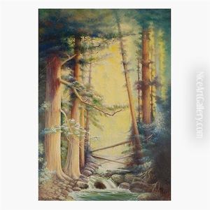 Redwoods
