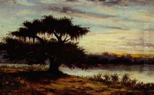 Oak Tree On The Bayou, At Dusk