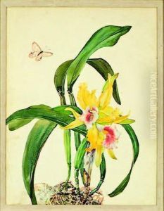 A Pair Of Cattelya Orchid Studies by Andrey Avinoff
