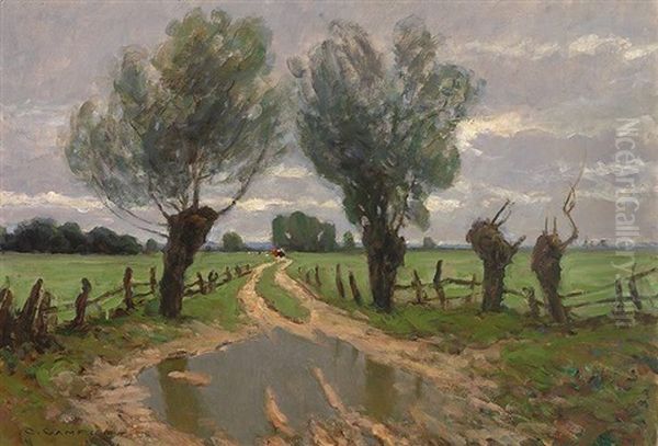 Weg Ins Moos (abend) - view 1