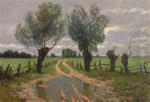 Weg Ins Moos (abend) Weg Ins Moos (abend)