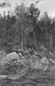 Uferpartie Eines Waldsees Mit Felsen Und Tannen by Otto Gampert