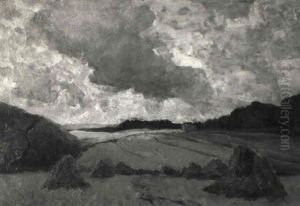 Erntelandschaft