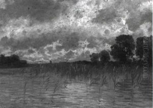 Schilfbewachsenes Seeufer Unter Bew"lktem Himmel