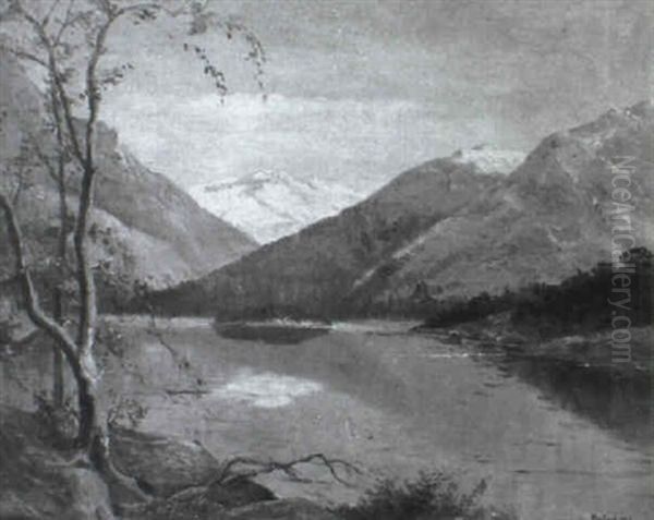 Baumbestandene Flusslandschaft - view 1