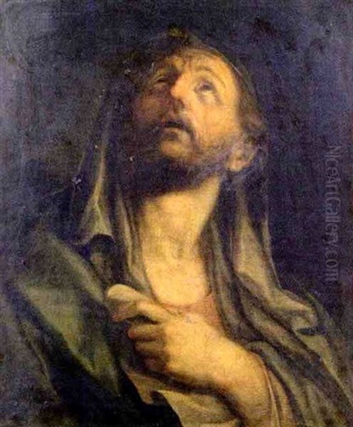 Figure D'apotre - view 1