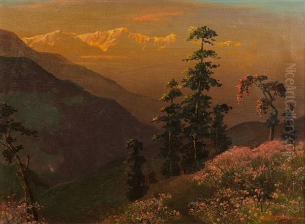 Spring In The Himalaya - view 1