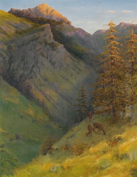 The Augustenberg From The Malbuntal Valley - view 1