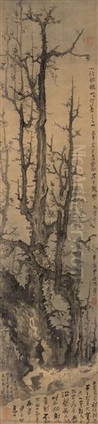 Plum Blossoms - view 1
