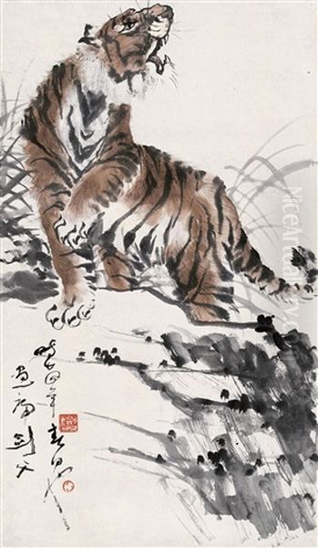 Tiger - view 1