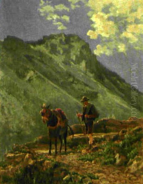 Steiniger Bergpfad Mt Alphirt Und Maultier - view 1