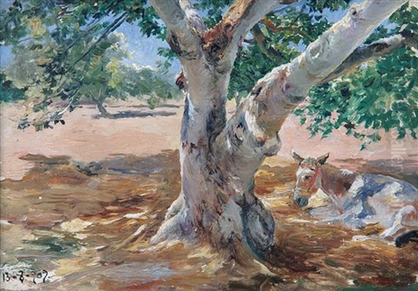 Burro Bajo El Arbol - view 1