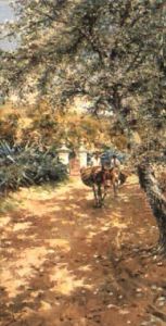 Mule Pack On A Shaded Country Road