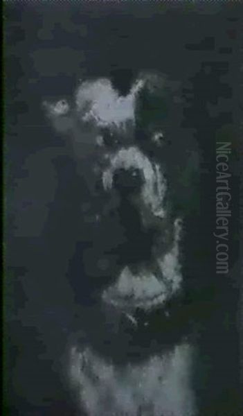 Jack-russel-terrier - view 1