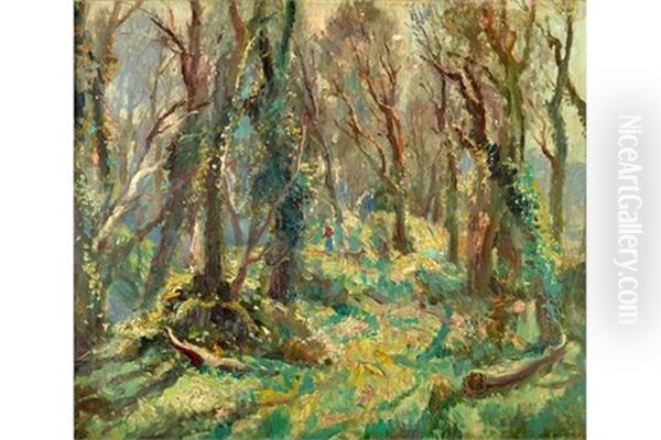 Lamorna Woods - view 1