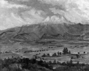 Valley Of The Volcanoes by Alberto Garduno