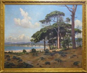 Overview Of Southern French Coast by Joseph Garibaldi