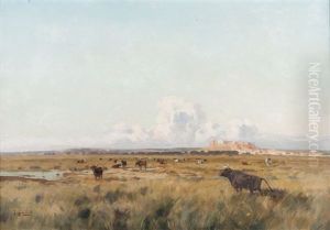 Taureaux En Camargue
