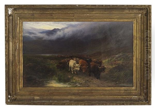 Highland Cattle On Road To Argyllshire - view 1