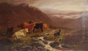 Strayed Cattle (found) Strayed Cattle (found)