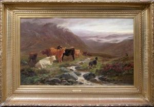 Strayed Cattle (found)