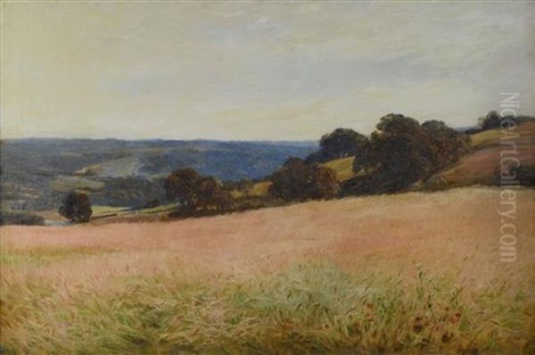 View Across A Surrey Cornfield - view 1