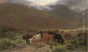 Drover With Highland Cattle