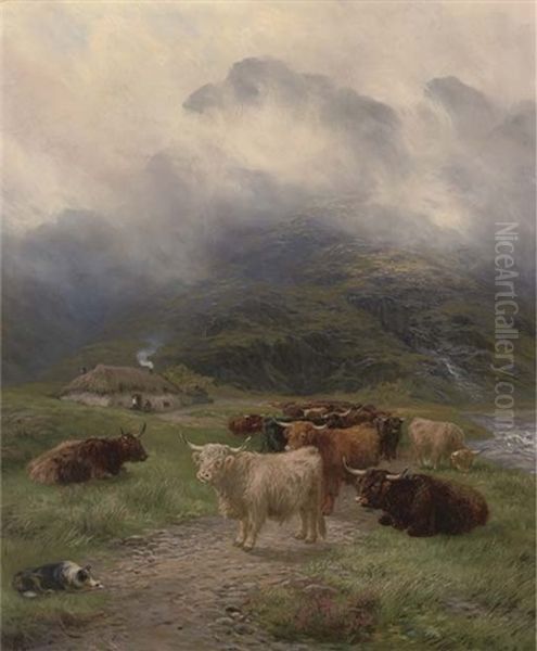 Highland Cattle Before A Croft - view 1