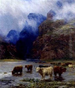 Highland Cattle Watering