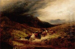 Highland Cattle Fording A Burn