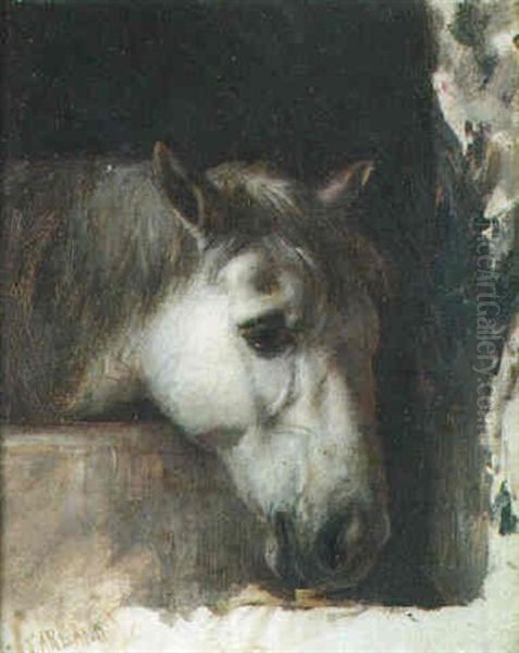 Study Of A Horse's Head - view 1