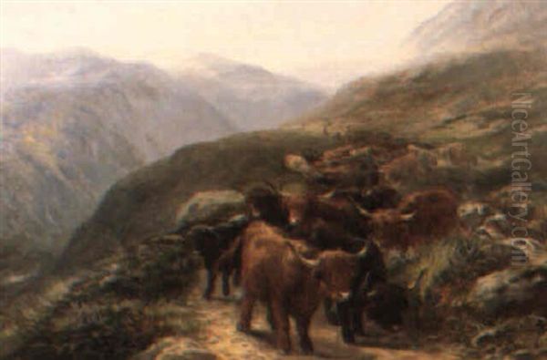 Driving Highland Cattle Through A Glen - view 1