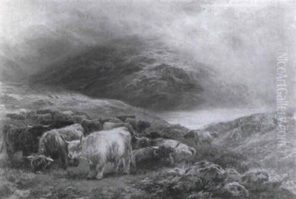 Highland Glen With Cattle Grazing In The Foreground - view 1