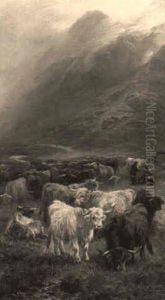 A Highland Drove Resting