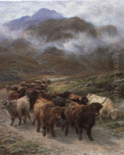 Highland Drove In Glencoe - view 1
