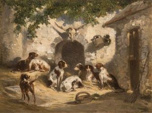 Irish Setter-versammlung Im Innenhof