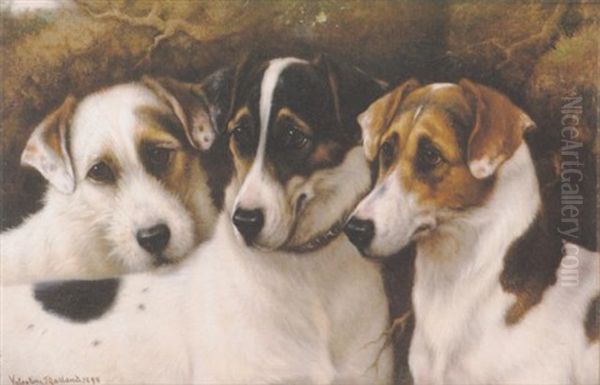 "vixon", "venom" And "viper" - view 1