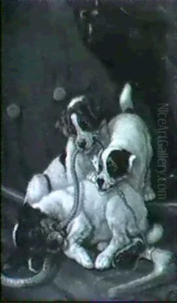 Hound Puppies - view 1